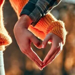 3 day text program + SP custom plan